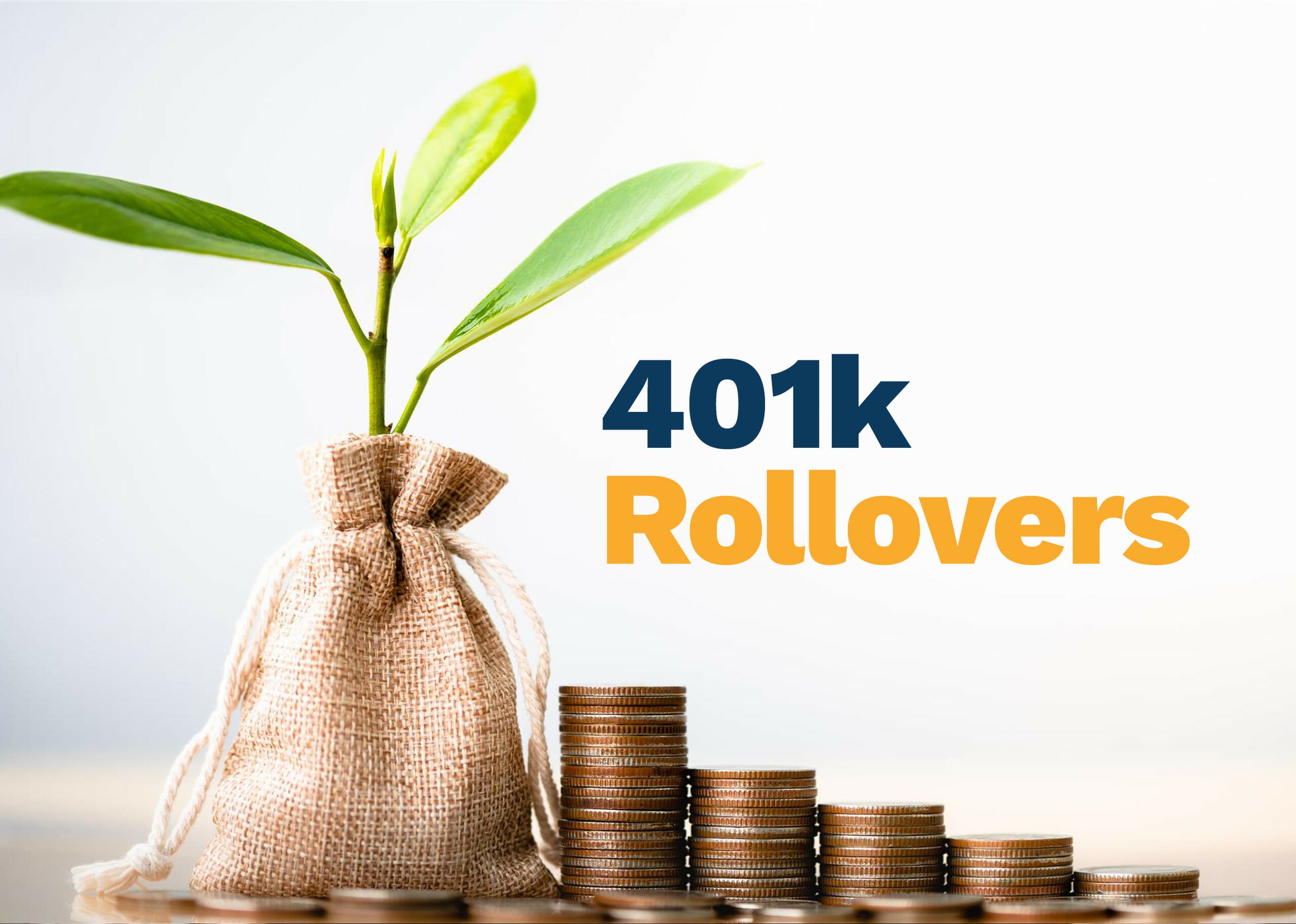 401k Rollover Options