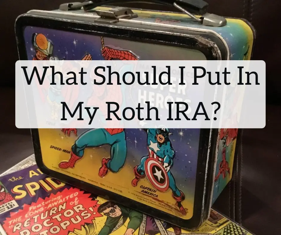 What Should I Put In My Roth IRA?
